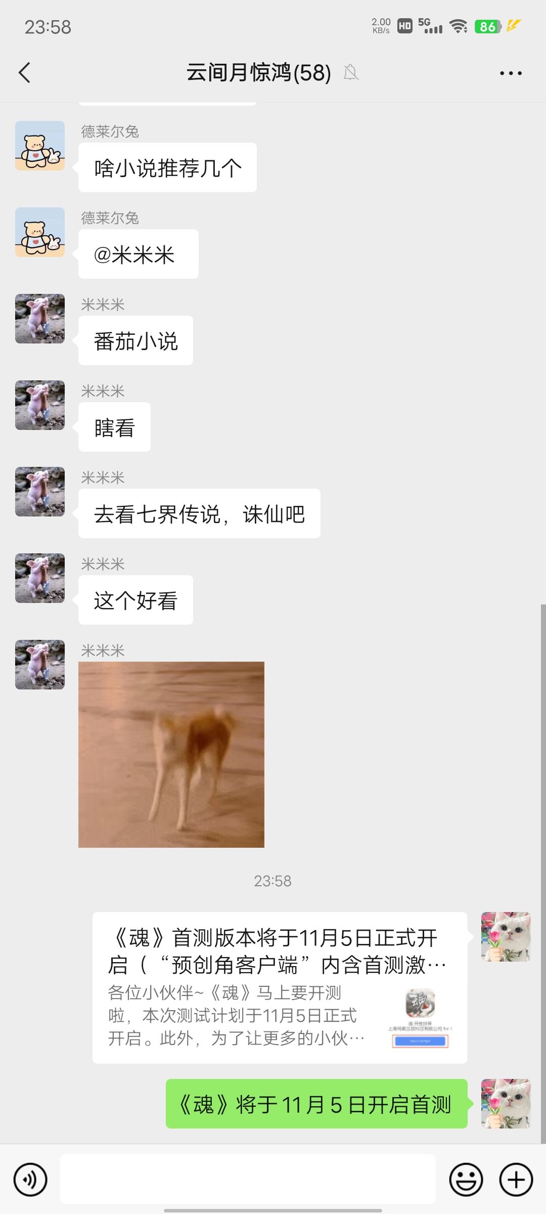 动态图片 8
