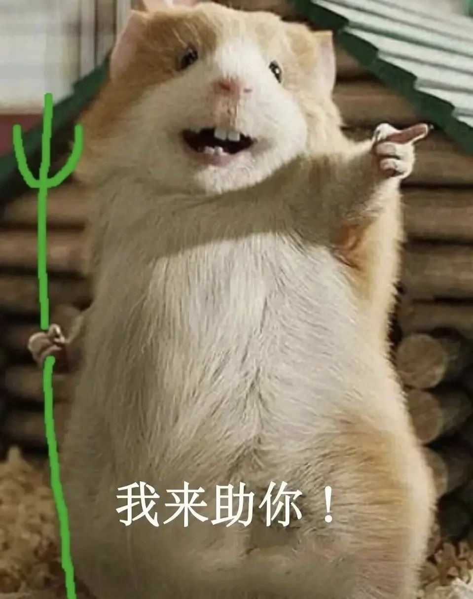 解释一下我为啥论坛两个号 1