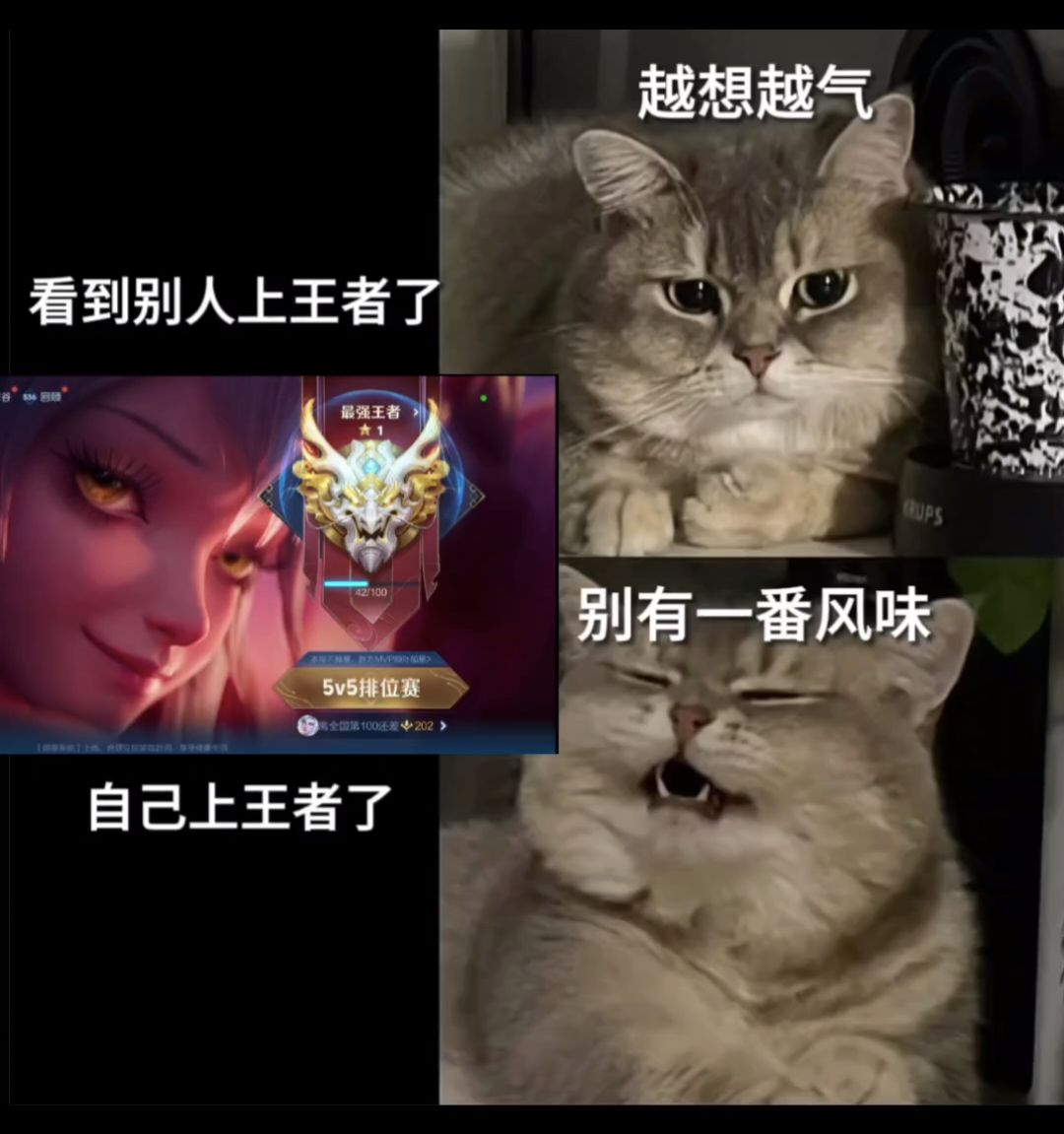 新赛季你们上王者了吗 3