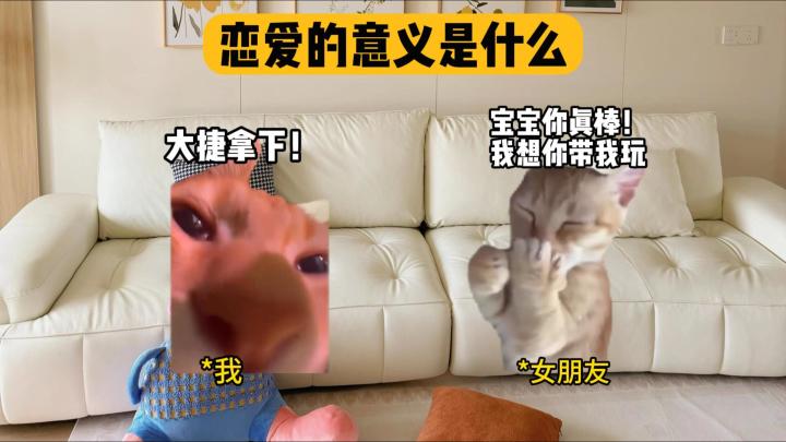 谈恋爱的意义是什么?截图