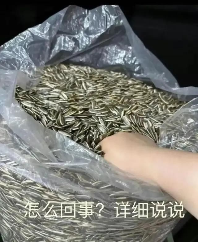 更新了 1