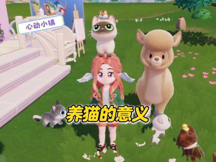 在心动小镇,你为什么养猫?截图