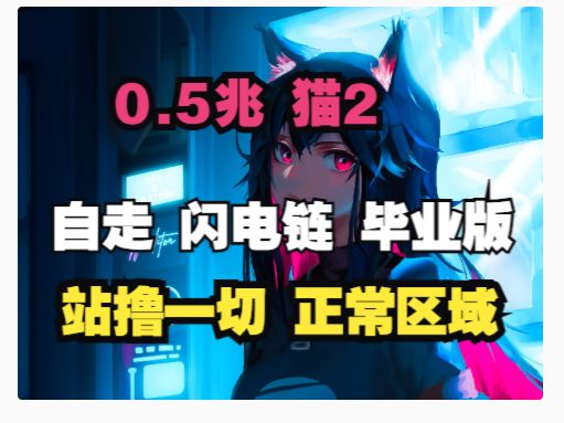 火炬之光无限 0.5兆木桩 猫2自走闪电链 高配版本 BD全分享截图