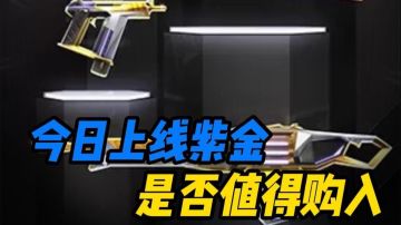 【紫金2.0套装】一分钟告诉你今日上线的紫金2.0套装是否值得购入