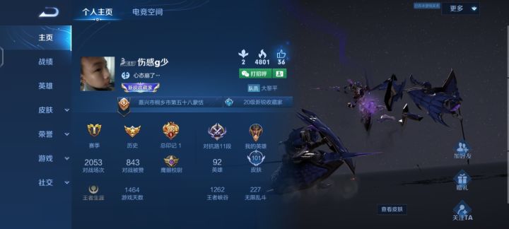 敌我双方差距截图