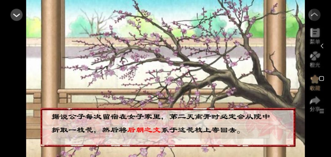 樱与梅 3