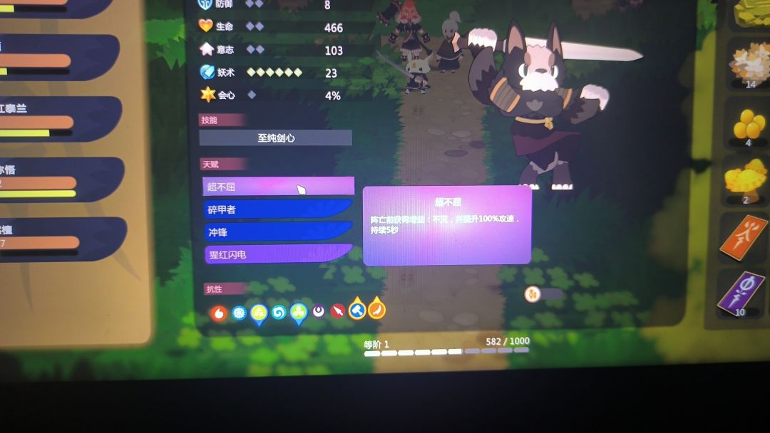 看我的大c 2