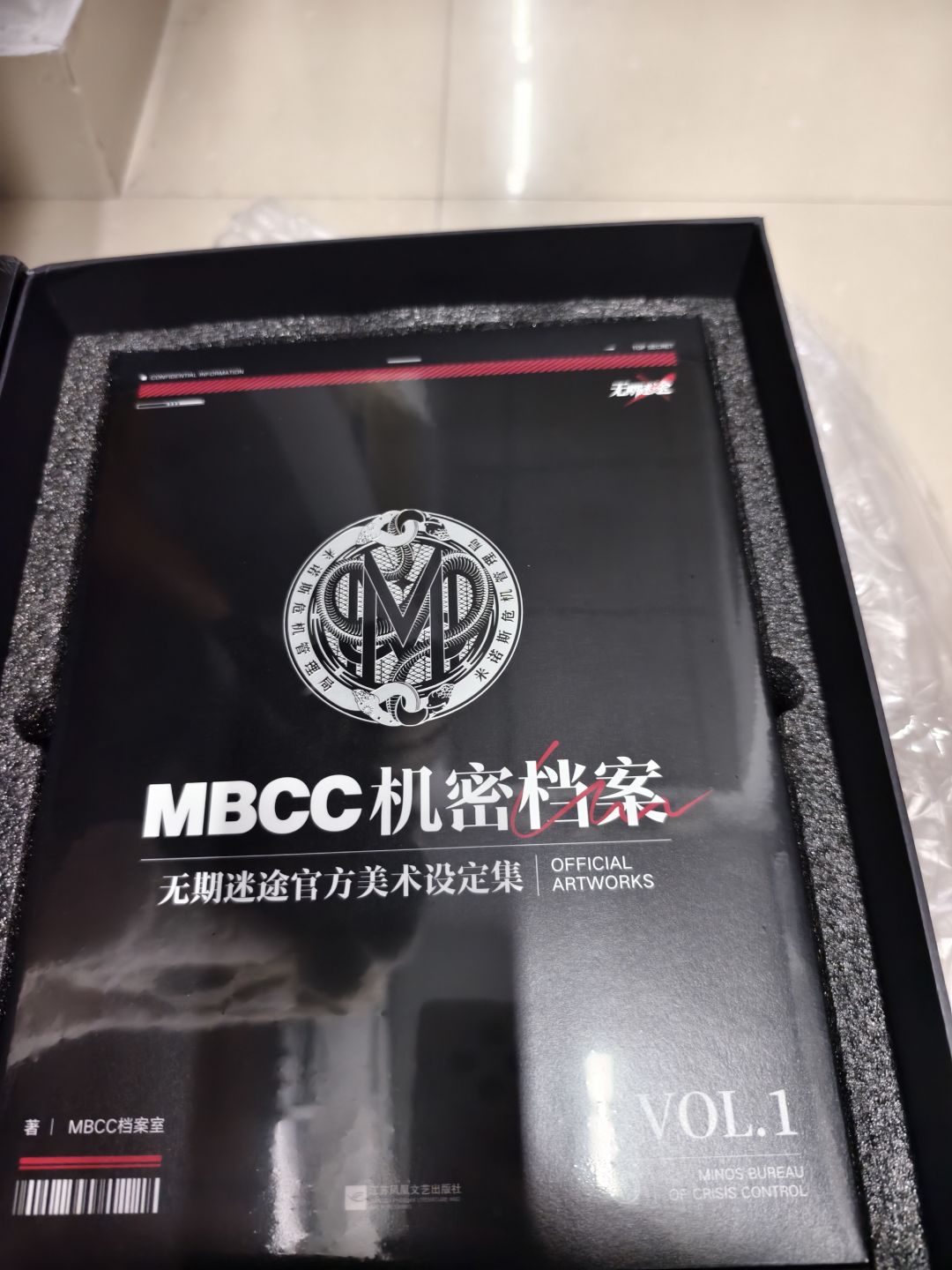 设定集 2