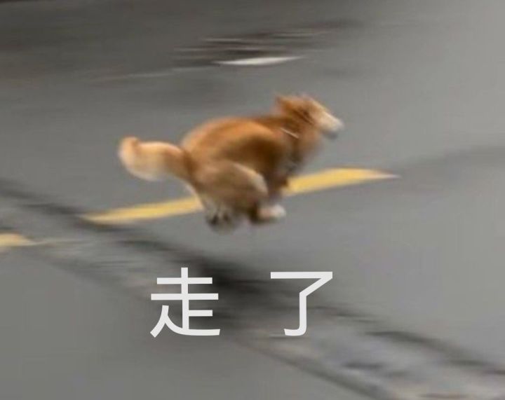 暑假分享第六弹截图
