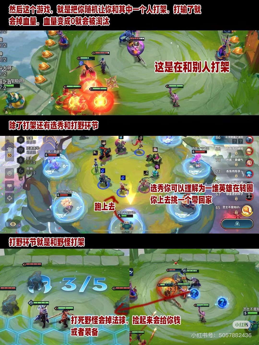 适合女铲体质的金铲铲入门教学来啦！ 4
