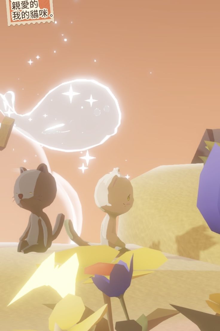 360°无死角猫猫，越看越阔爱(*≧ω≦) 3