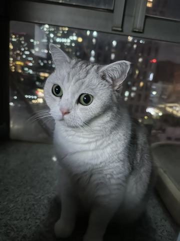 眼睛瞪的像铜铃