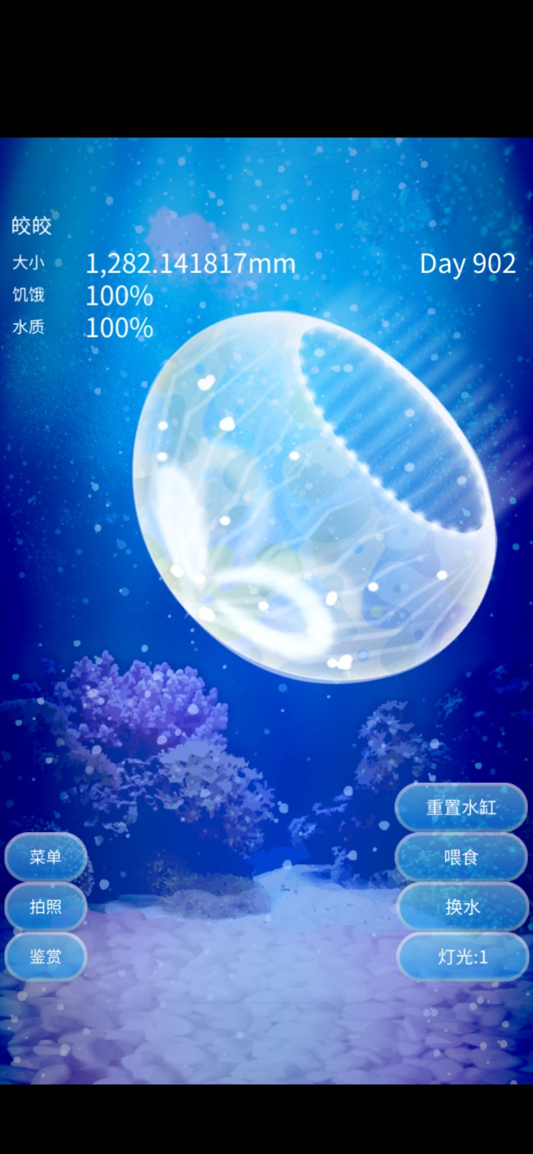 动态图片 3