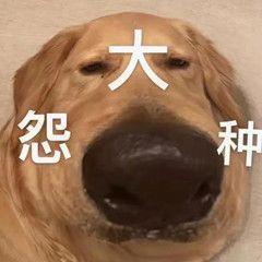 下一个新火是啥时候啊？新木不想在深挖了，还得是火战牛逼[表情_嫌弃][表情_嫌弃]截图