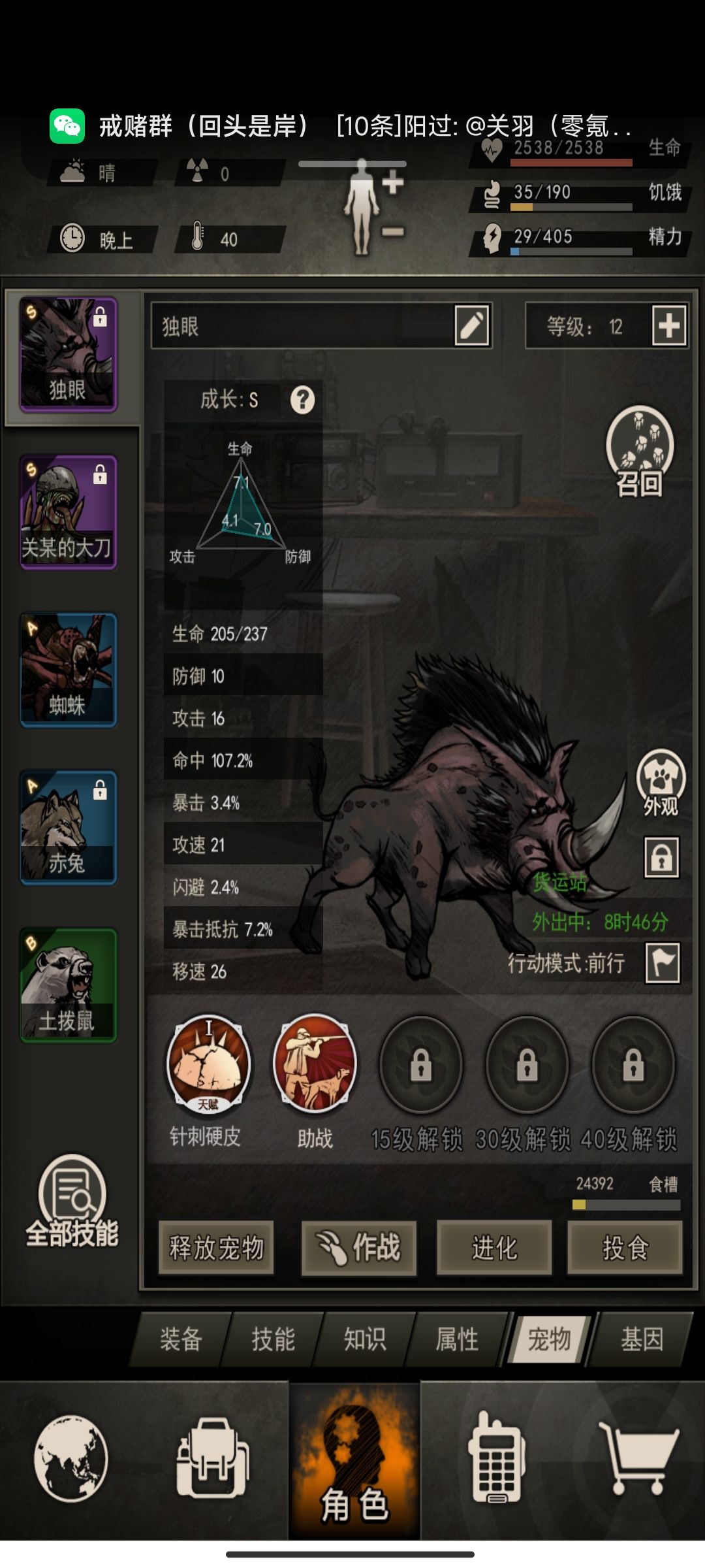 两只独眼 4