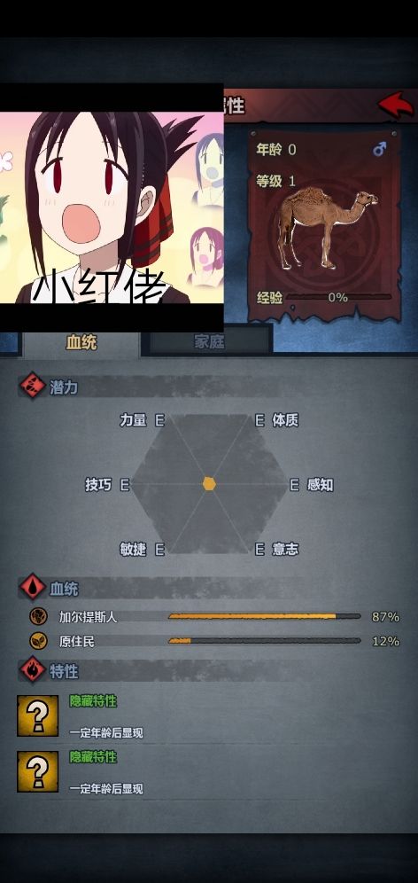 不懂就问这个玩什么?截图
