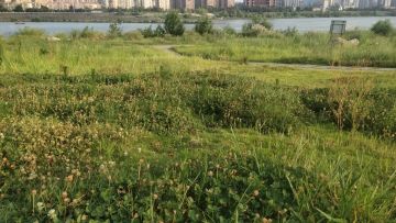 选好位置，开始上鱼！ 常见鱼钓法