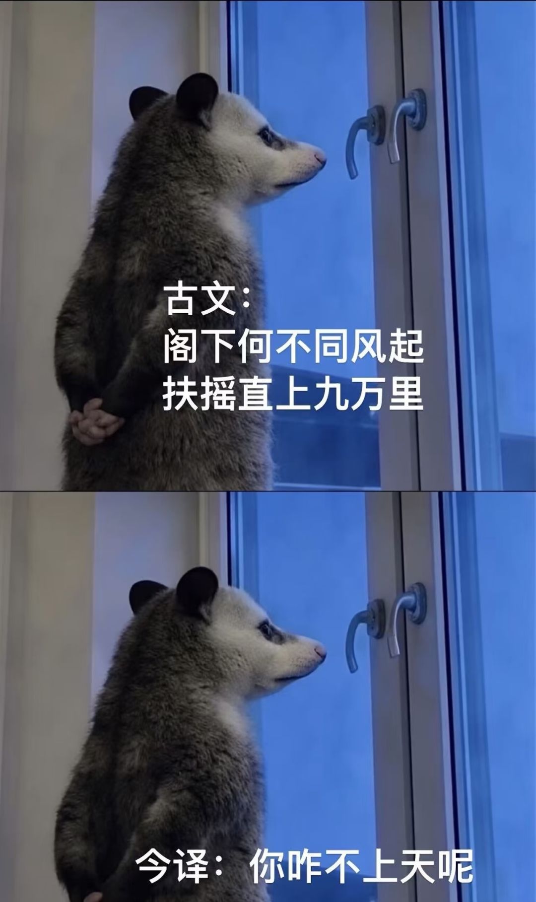 挖矿去了 3