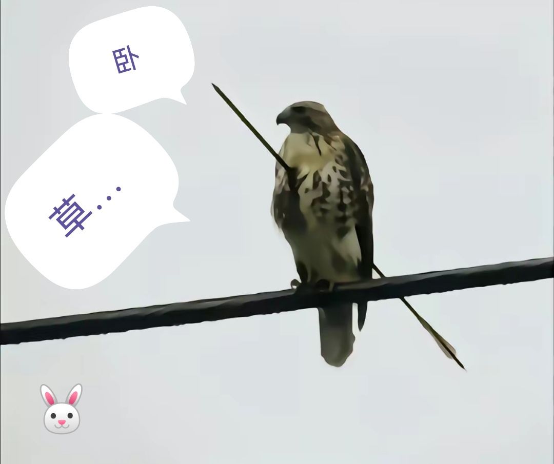 (金融风暴)开始了 1