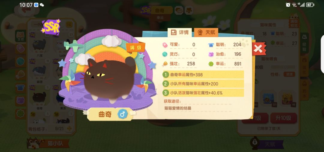 动态图片 5