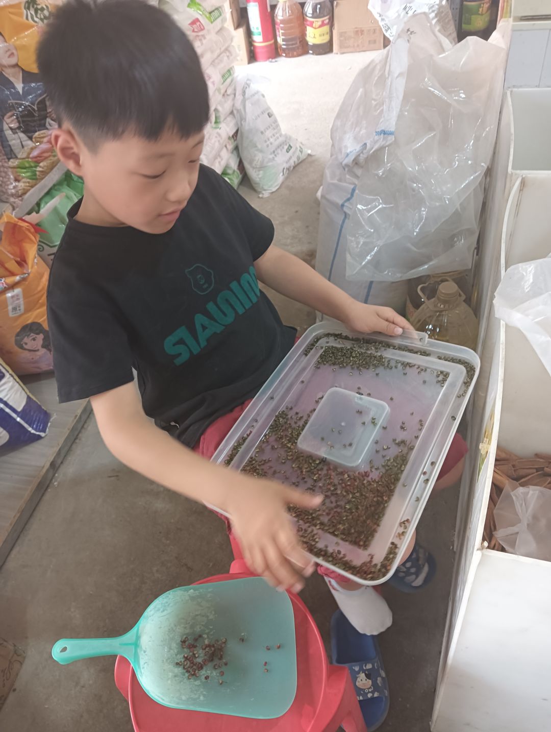 动态图片 1