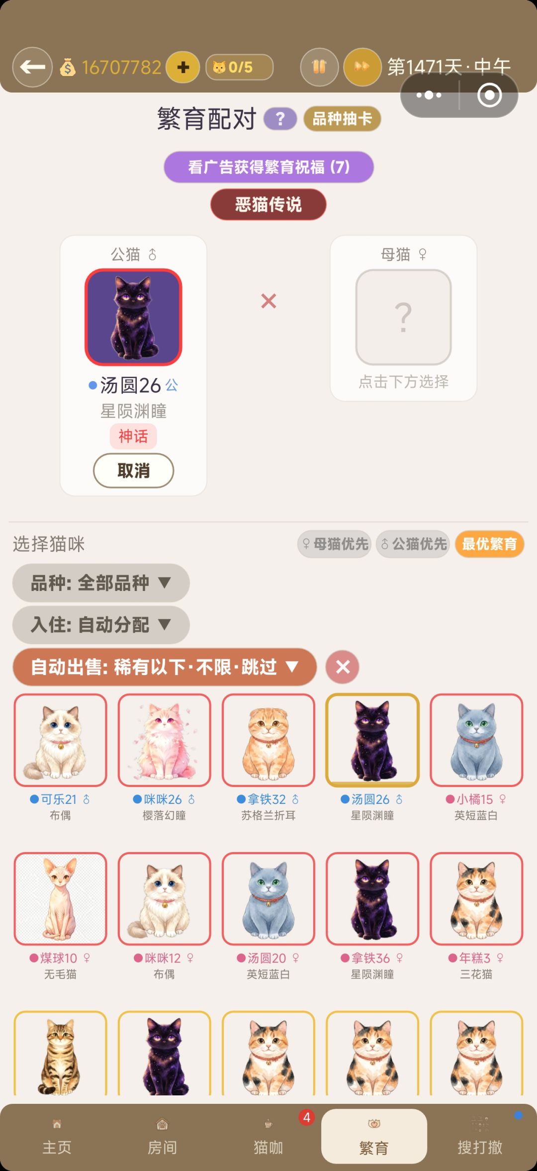 公猫跳位 1