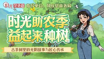 一叶跨越千里，与你在时光相遇——来自云南凤庆的古树红茶故事