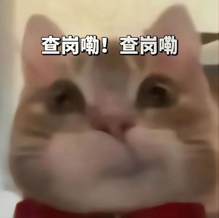 一起启动龙截图