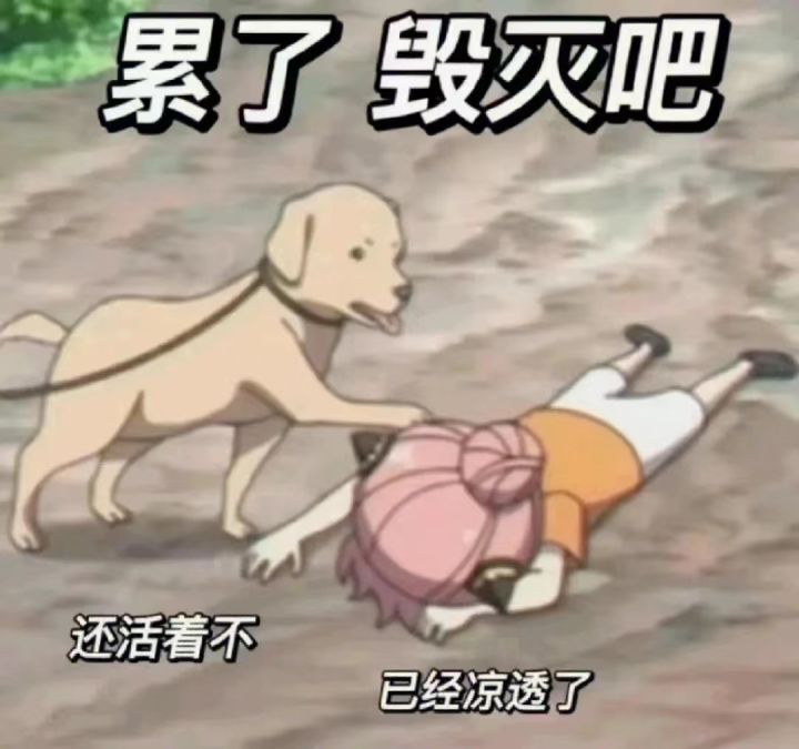 青鸟卡片选择截图