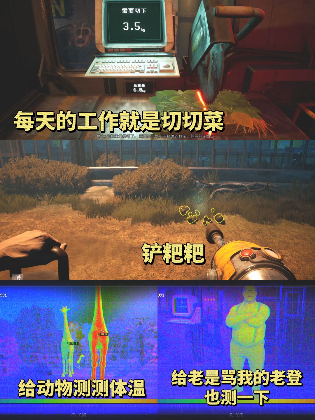 年薪70万!你愿意来这样的动物园工作吗? 3