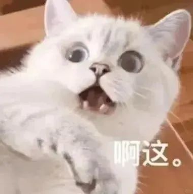 你也很好，但我想要团长 3
