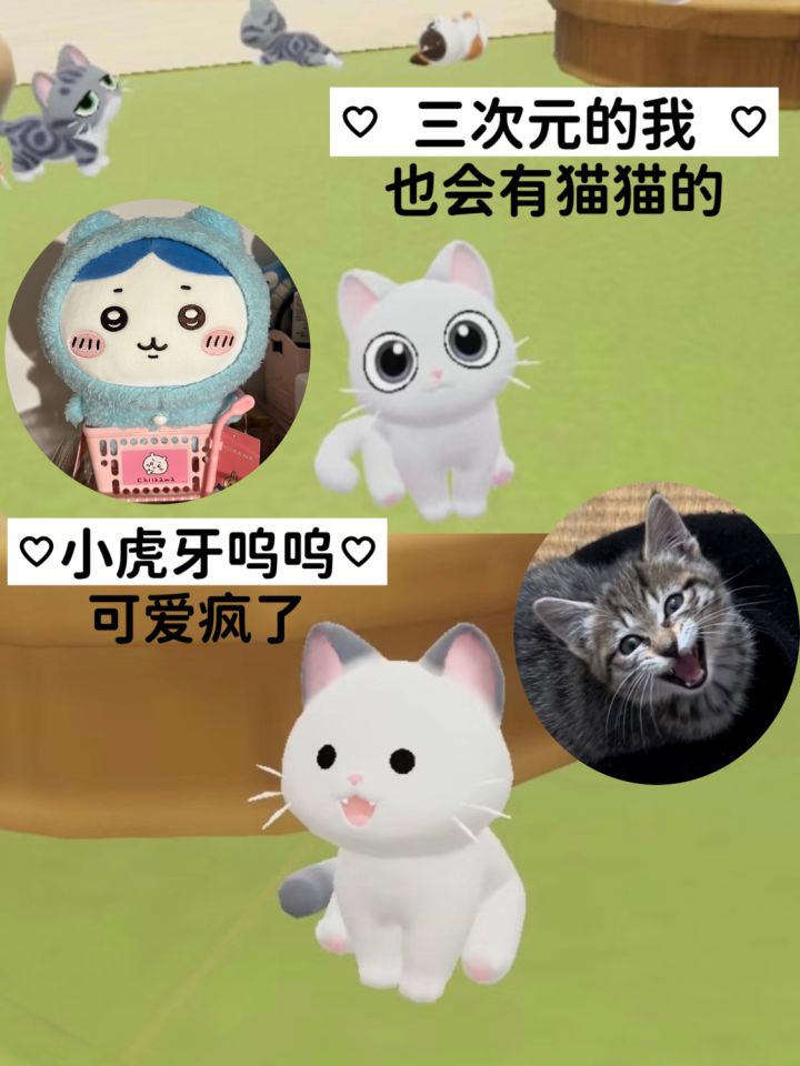 许愿之我也会有可爱猫猫的截图