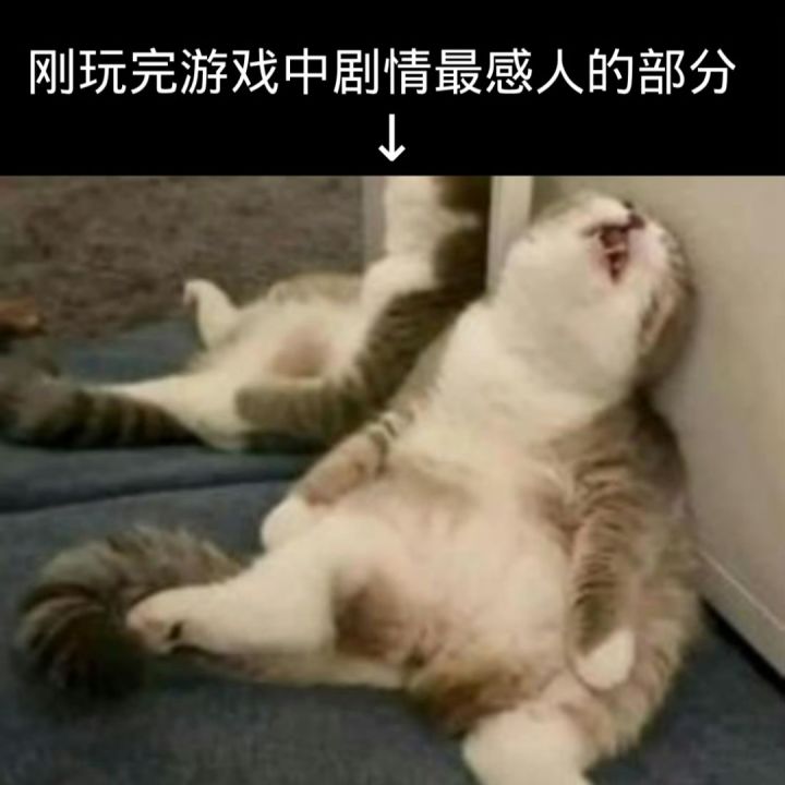 玩过的游戏中,哪段给你留下的记忆最深刻?截图