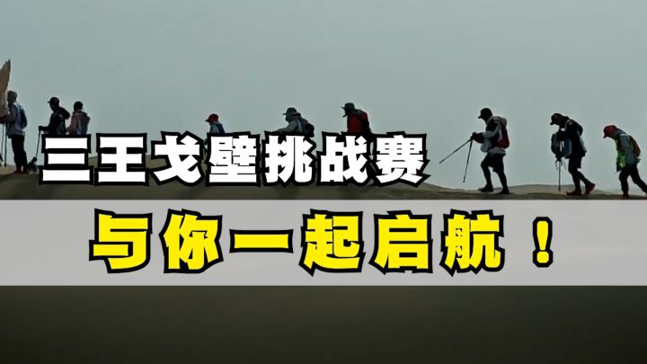 三王和戈壁活动有什么关联?直接给你总结截图