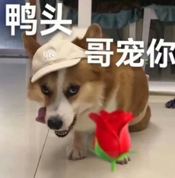 【已开奖】有奖活动+签到活动 | 这个七夕来棋喜，晒出你最爱的棋兵CP赢福利！