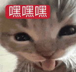 我就这样骚扰好友 2
