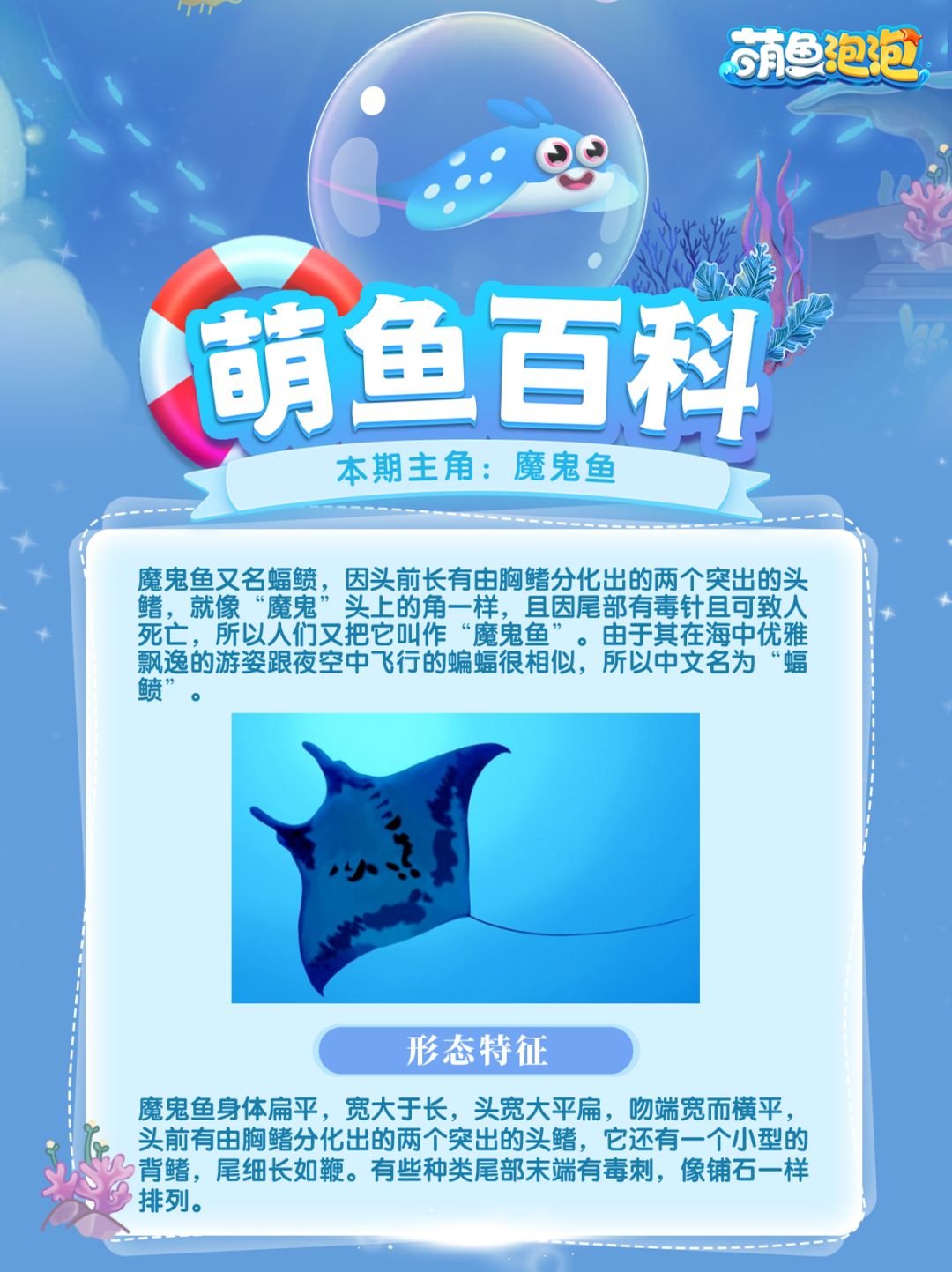 萌鱼百科丨魔鬼鱼 1