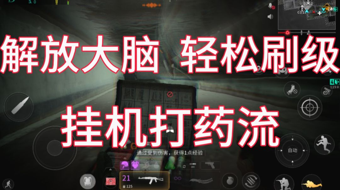 【已实现自动化刷级】彻底解放大脑的安全刷经验攻略：挂机打药流截图