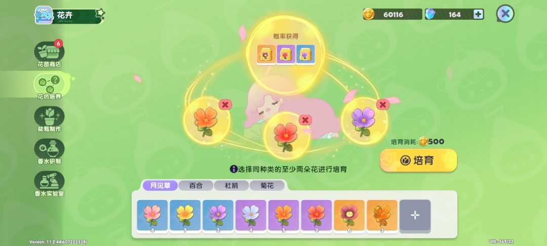 【花卉培养攻略】月见草 稀有花色合成公式 2