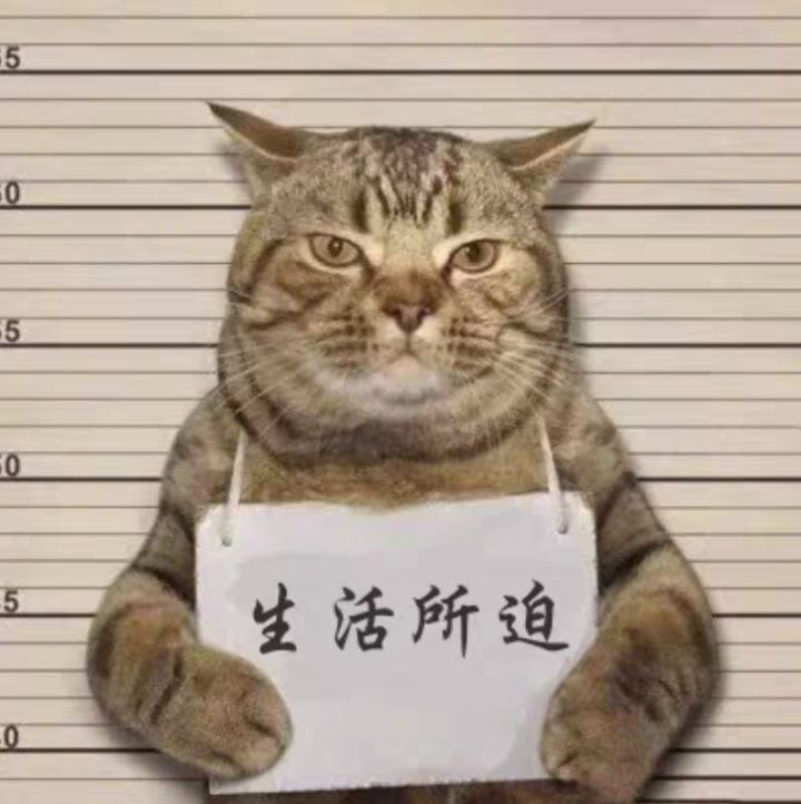 游戏节截图