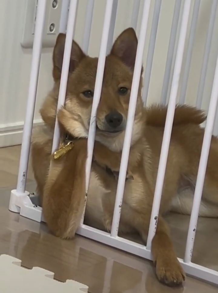 给中一个吧截图