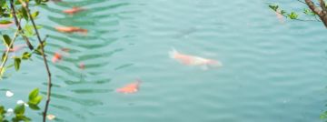 少侠，清江见！巫都地图壮美现世！