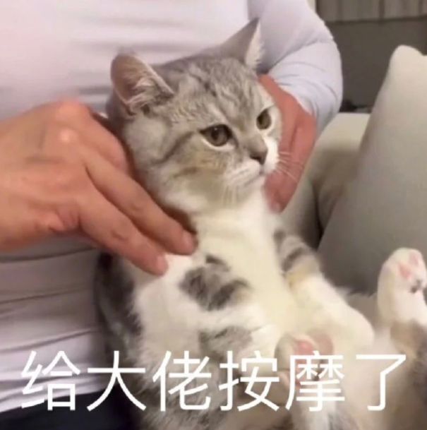 靠嘴皮子在游戏里续了三个赛季的命 1