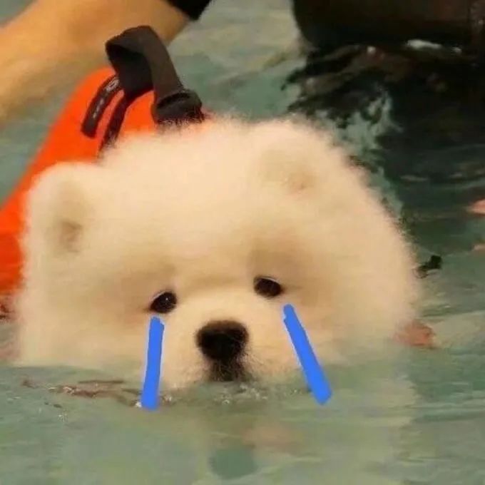 萌新提问 3