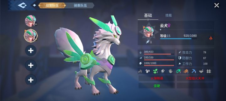 我这宠物技能没有怎么样,初始5截图