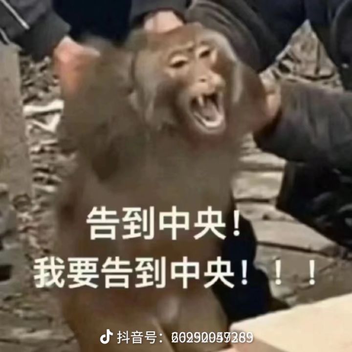 s6玩到现在没用过异界组队功能截图