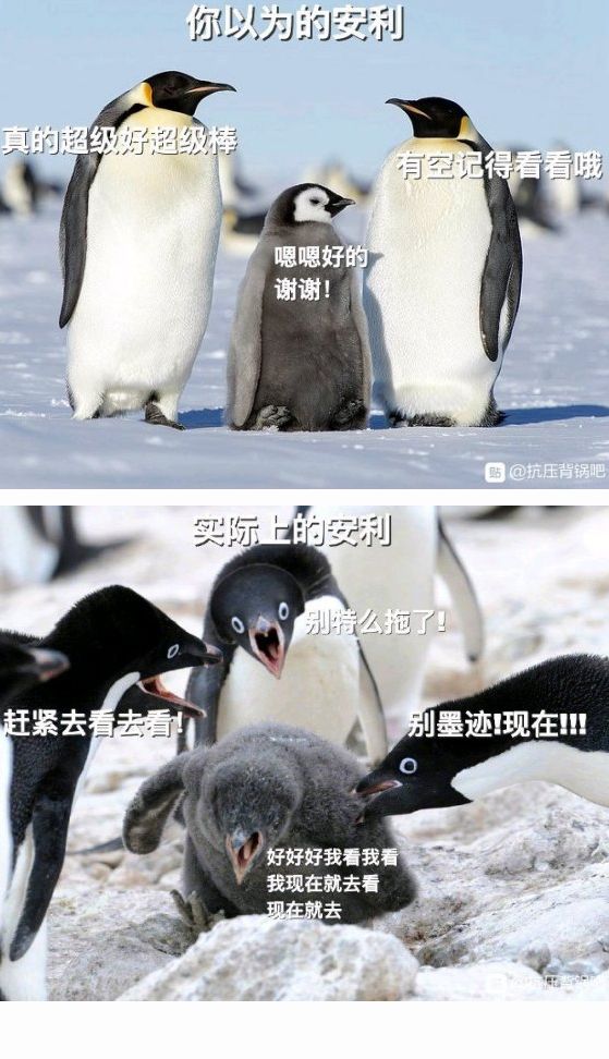 动态图片 9