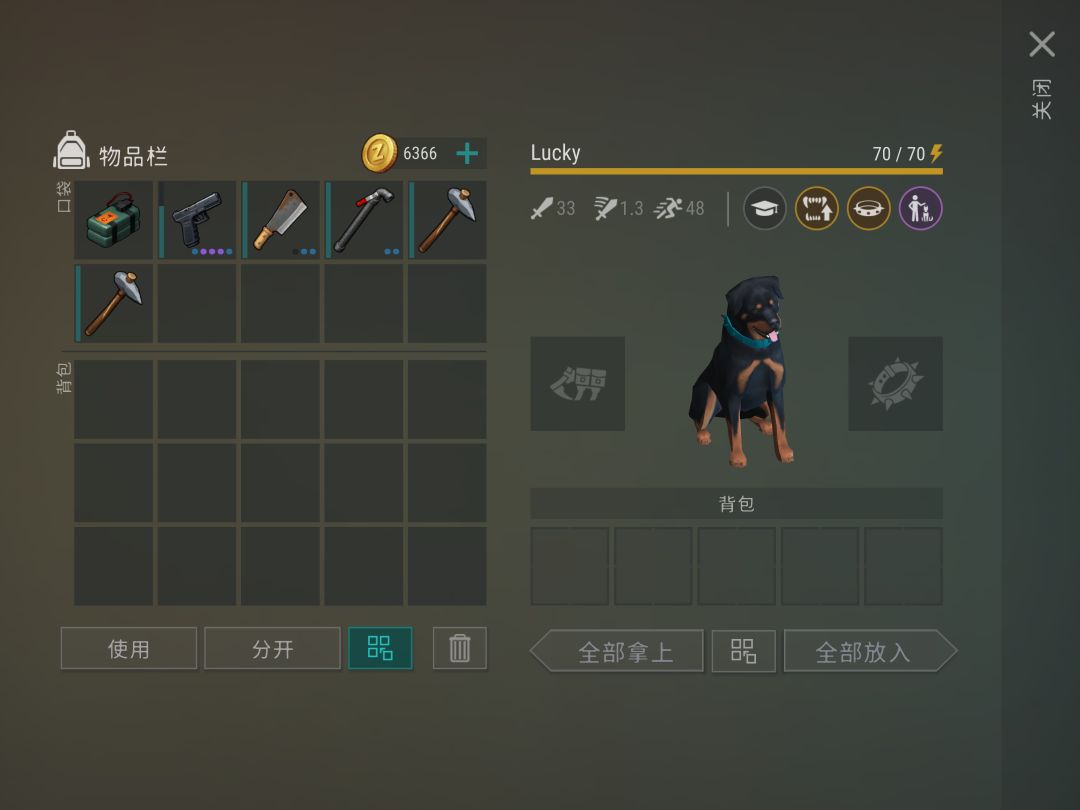 第一只朋友狗 罗威纳 2