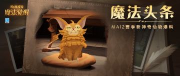 魔法头条丨在魔法世界撸猫，你需要注意的是......