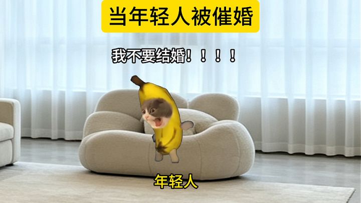 当年轻人被催婚截图